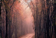 陈幸同3-1逆转米特兰姆,晋级WTT仁川冠军赛女单16强.