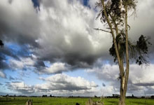 国足第62分钟换人,张玉宁韦世豪下,徐皓阳李源一上.