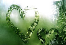 记者:哈维-阿隆索预计下赛季会留药厂,皇马将他视作安帅接班人.